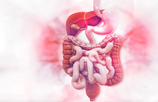 Gut Microbiome Discovery Home Test Kit UK